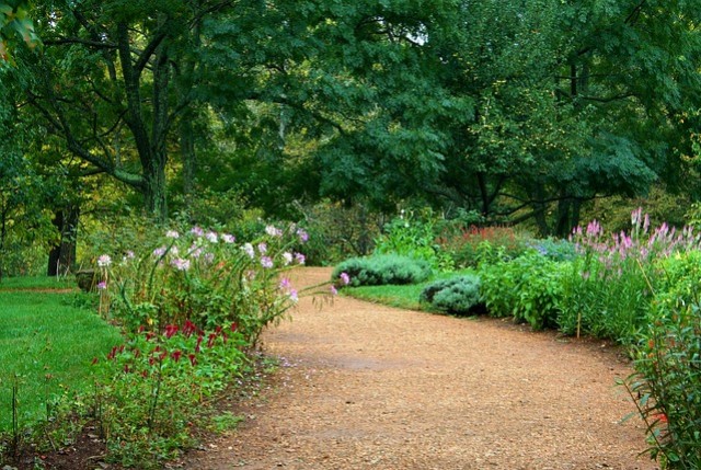 découvrez les meilleurs matériaux pour créer une allée de jardin esthétique, durable et pratique. conseils, idées et inspirations pour choisir entre gravier, pavés, dalles, bois ou béton selon vos besoins et votre budget.