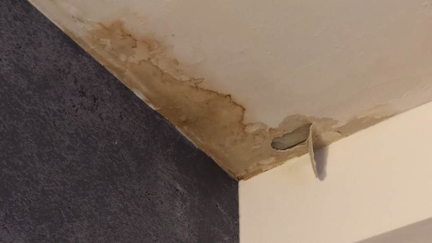 service de rénovation après dégât des eaux à paris 8 : réparation rapide, prise en charge des assurances, devis gratuit. retrouvez votre logement impeccable grâce à nos experts.