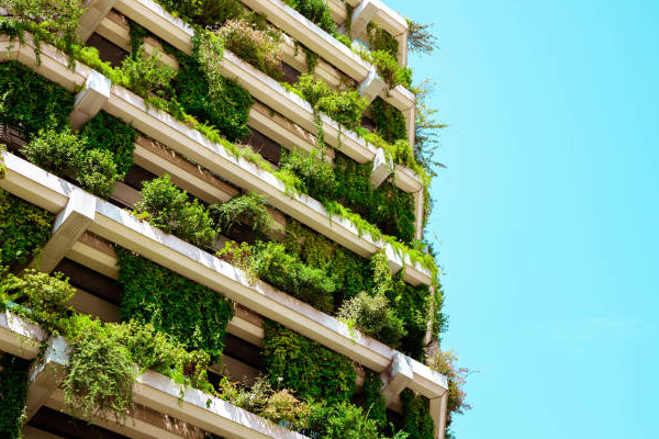 découvrez des conseils et solutions pour réussir votre rénovation économique de maison ou d’appartement. optimisez votre budget, réduisez vos dépenses tout en améliorant votre confort et l’efficacité énergétique de votre habitat.