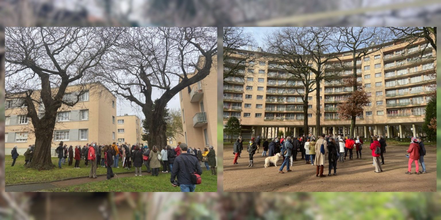 découvrez nos conseils et astuces pour réussir votre rénovation à châtenay-malabry. suivez les étapes clés et trouvez les meilleures solutions pour transformer votre intérieur en toute sérénité.