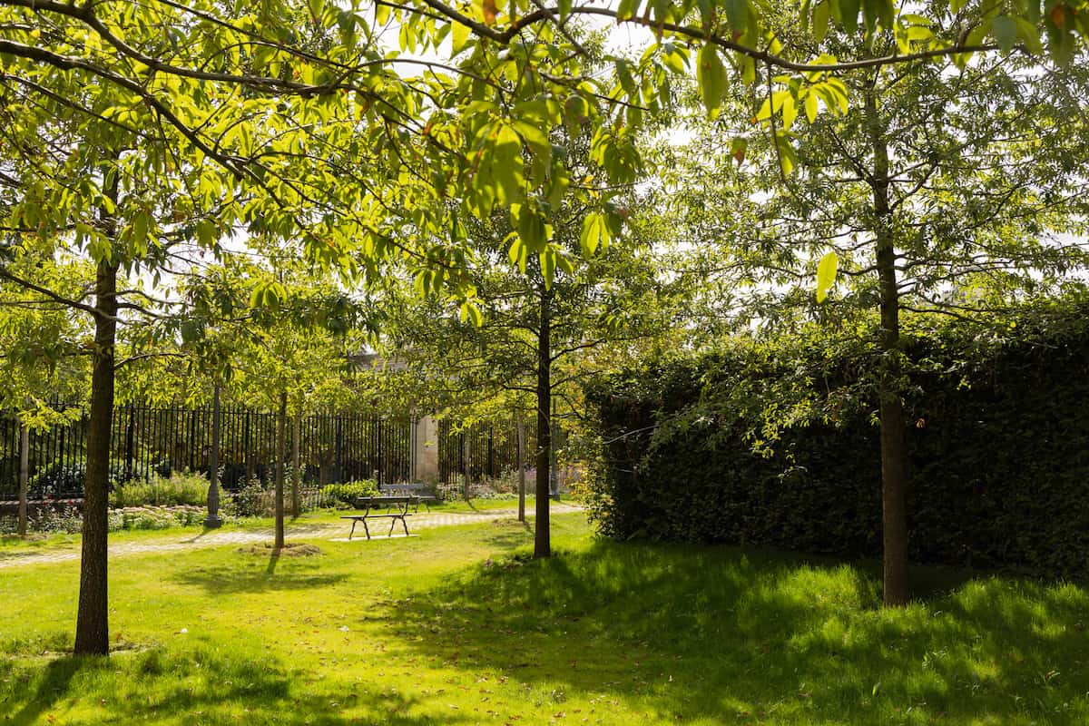 découvrez le square marie-curie, un espace vert paisible situé en plein cœur de la ville. profitez de ses jardins accueillants, aires de jeux et coins détente, idéal pour se ressourcer en famille ou entre amis.
