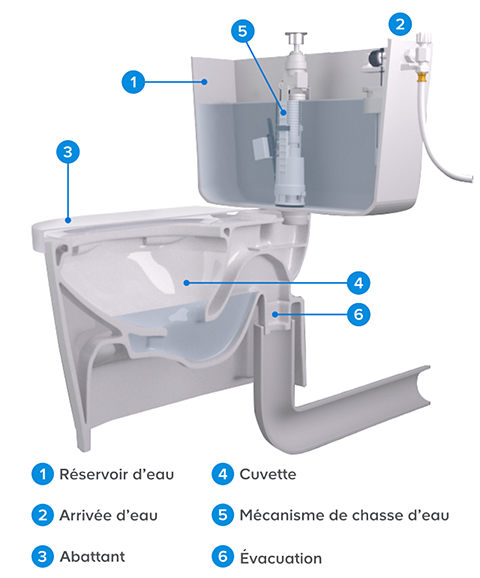 découvrez les droits et obligations des locataires en cas de toilettes bouchées : démarches à suivre, responsabilités du propriétaire et solutions pour résoudre rapidement ce type de problème dans une location.